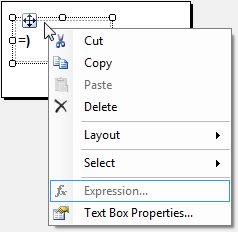 RDLC - Text Box - Single Expression Disabled