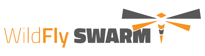 swarm_logo_final